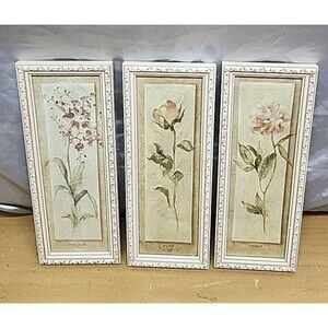 Cheri Blum 3 floral  Print set , framed 13 x 5